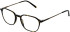 X-Eyes Lite 36 glasses in Tort