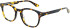 Zenith 106 glasses in Tort