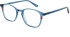 Zenith 109 glasses in Navy
