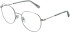 Zenith 112 glasses in Silver