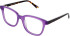 Zenith 113 glasses in Purple