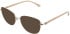 Amore Amalfi sunglasses in Rose Gold