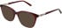Amore Anna sunglasses in Wine