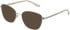 Amore Aria-53 sunglasses in Tan
