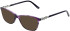 Amore Lucia sunglasses in Purple