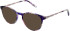 Amore Renata sunglasses in Purple