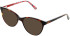 Cameo Ava sunglasses in Tort