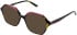 Cameo Blossom sunglasses in Wine