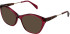 Cameo Bonnie sunglasses in Rose