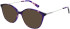 Cameo Elise sunglasses in Purple