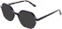 Cameo Enya sunglasses in Purple