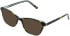 Cameo Isla sunglasses in Havana