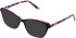 Cameo Isla sunglasses in Purple