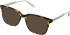 Cameo Jack sunglasses in Tort