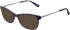 Cameo Lily sunglasses in Lilac/Silver