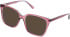 Cameo Luna sunglasses in Crystal Pink