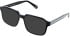 Cameo Max sunglasses in Black