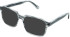 Cameo Max sunglasses in Grey