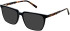Cameo Miles sunglasses in Black