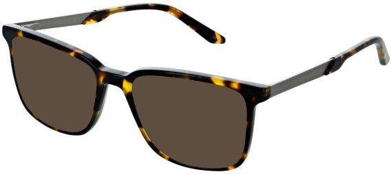 Cameo Noah sunglasses in Tort