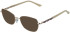 Cameo Olivia sunglasses in Rose Gold