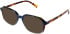 Cameo Ollie sunglasses in Blue