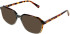 Cameo Ollie sunglasses in Grey