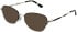 Cameo Saskia sunglasses in Gold/Black