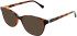 LK Bennett 81 sunglasses in Tort