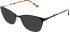 LK Bennett 83 sunglasses in Brown