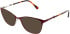 LK Bennett 83 sunglasses in Burgundy