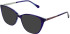 LK Bennett 86 sunglasses in Purple
