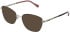 LK Bennett 89 sunglasses in Black/Gold