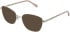 LK Bennett 89 sunglasses in Gold/Cream