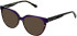 LK Bennett 91 sunglasses in Purple