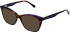LK Bennett 94 sunglasses in Purple/Tort