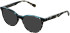 LK Bennett 95 sunglasses in Teal/Grey Tort