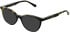 LK Bennett 95 sunglasses in Cream/Tort