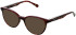 LK Bennett 95 sunglasses in Pink/Red Tort