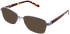 Lazer 4118-49 sunglasses in Lilac