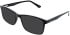 Lazer 4120 sunglasses in Black