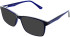 Lazer 4120 sunglasses in Navy