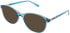 Lazer 4122 sunglasses in Blue