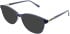 Lazer 4122 sunglasses in Grey