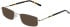 Lazer 4130 sunglasses in Gold
