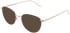Lazer 4138 sunglasses in Gold