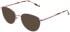 Lazer 4138 sunglasses in Lilac