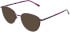 Lazer 4138 sunglasses in Purple