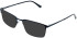 Lazer 4144-60 sunglasses in Navy