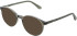 Lazer 4146 sunglasses in Grey